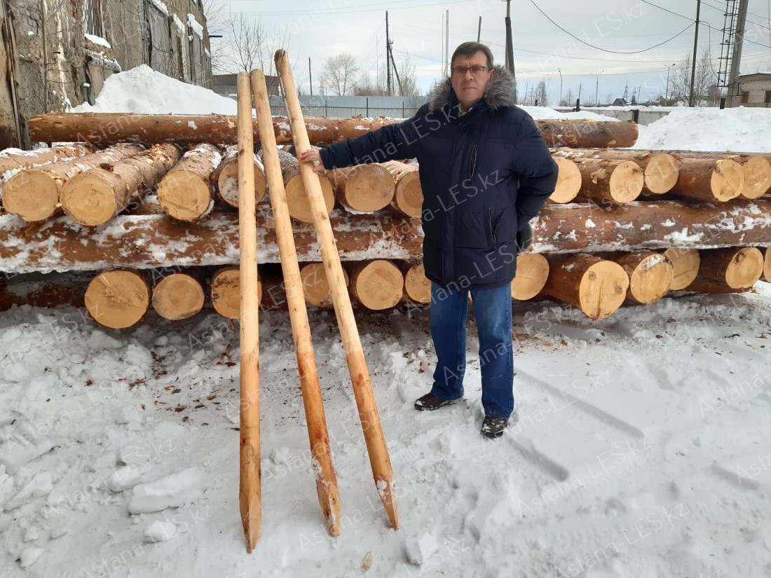 kolishki_dlya_derevev